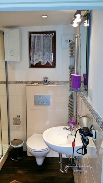 Apartement Victoria Swisttal Room photo